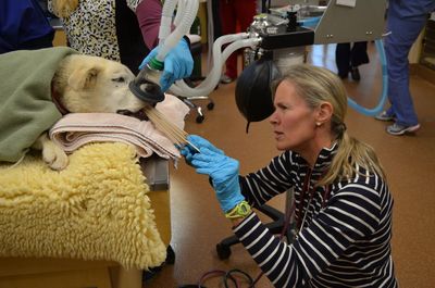 Travis with Marielle