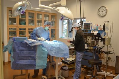 Darla on operating table