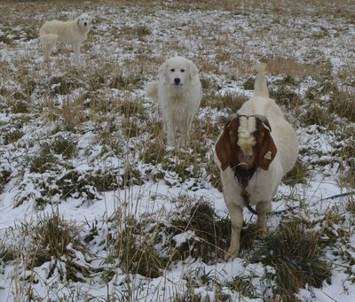 Jordan and Joshua with Polar
