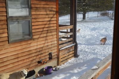 Darla holding off Travis and Tanner 2