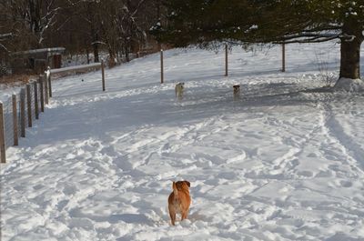 Darla holding off Travis and Tanner 1