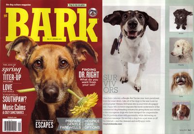 Bark cover on puppy mill book