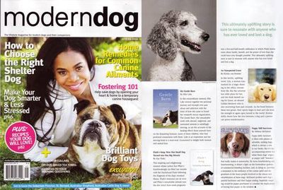 Modern Dog cover on puppy mill book