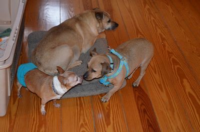 Sunny and Wilbur Sunny and Wilbur