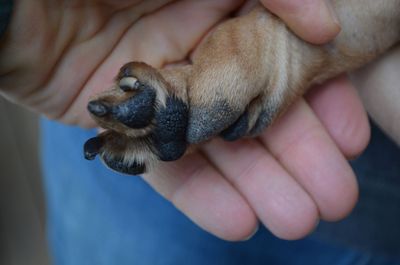 Sunny paw 2 Sunny paw 2