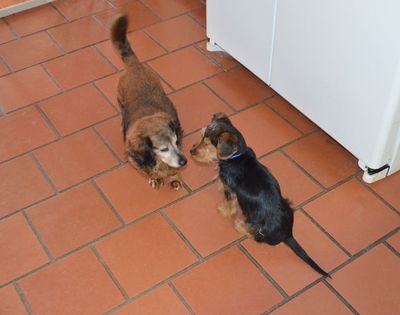 Cap with Sophie Cap with Sophie