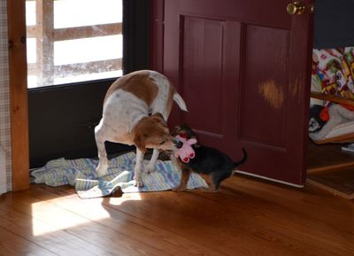 Cap with Tanner 2 Cap with Tanner 2