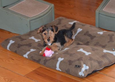 Cap with toy Cap with toy