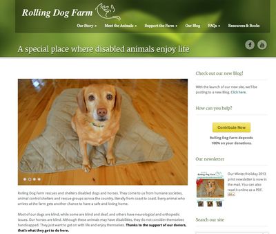 New website screenshot