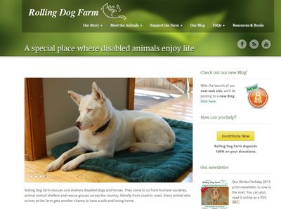 RDF Website home page screenshot